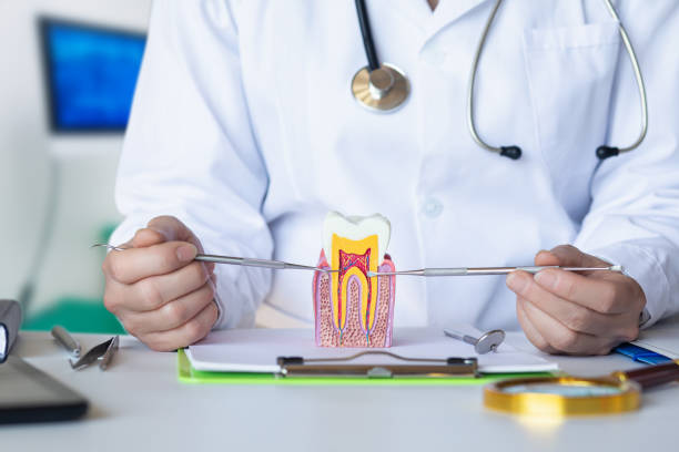 Best After-Hours Emergency Dentist in Saxapahaw, NC
